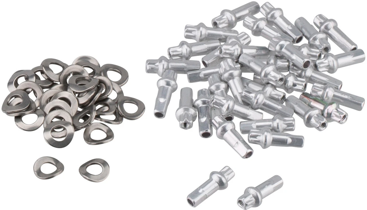 Dt-swiss RR 521 DB Disc Road Felge – Bild 5